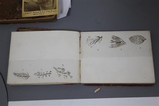 19th century Botanical studies,